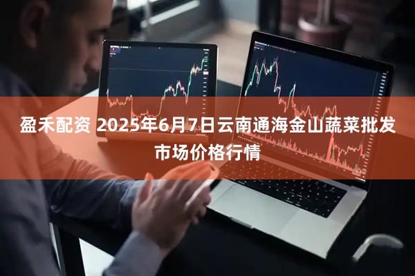 盈禾配资 2025年6月7日云南通海金山蔬菜批发市场价格行情