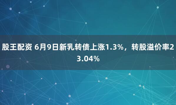 股王配资 6月9日新乳转债上涨1.3%，转股溢价率23.04%