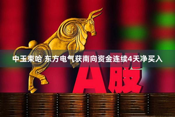 中玉束哈 东方电气获南向资金连续4天净买入