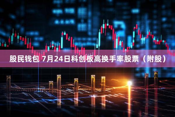 股民钱包 7月24日科创板高换手率股票（附股）