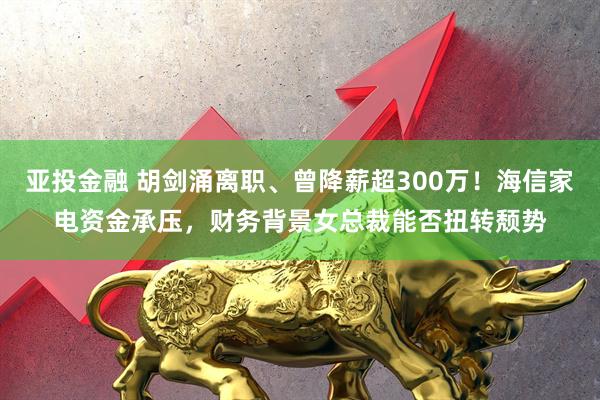 亚投金融 胡剑涌离职、曾降薪超300万！海信家电资金承压，财务背景女总裁能否扭转颓势