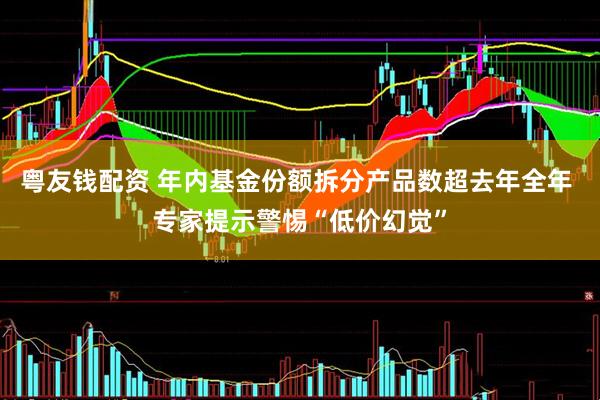 粤友钱配资 年内基金份额拆分产品数超去年全年 专家提示警惕“低价幻觉”