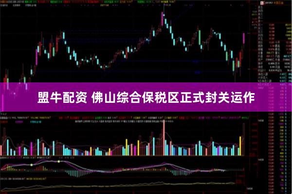 盟牛配资 佛山综合保税区正式封关运作