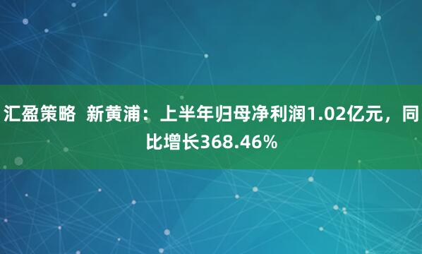 汇盈策略  新黄浦：上半年归母净利润1.02亿元，同比增长368.46%