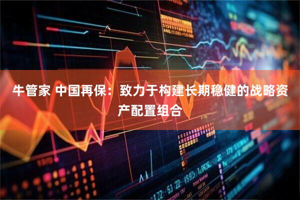 牛管家 中国再保：致力于构建长期稳健的战略资产配置组合