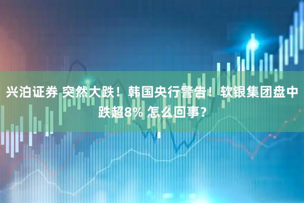 兴泊证券 突然大跌！韩国央行警告！软银集团盘中跌超8% 怎么回事？