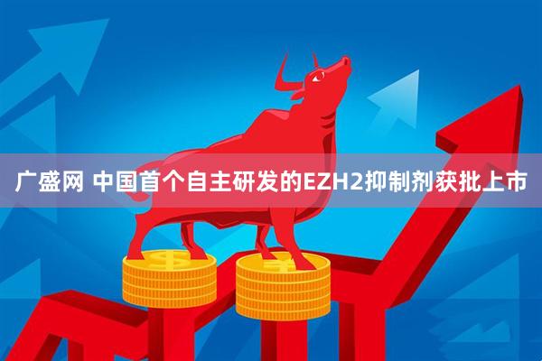 广盛网 中国首个自主研发的EZH2抑制剂获批上市